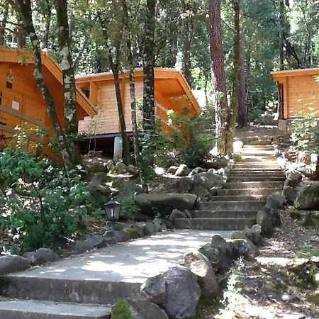 Auberge De La Foret Bonifatu Calenzana Eksteriør bilde