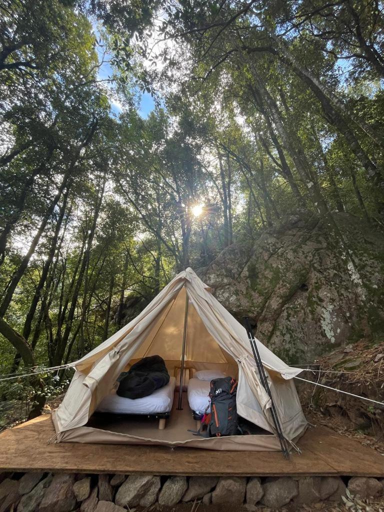 Auberge De La Foret Bonifatu Calenzana Eksteriør bilde