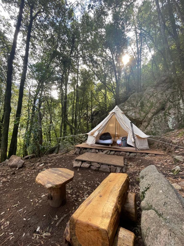 Auberge De La Foret Bonifatu Calenzana Eksteriør bilde